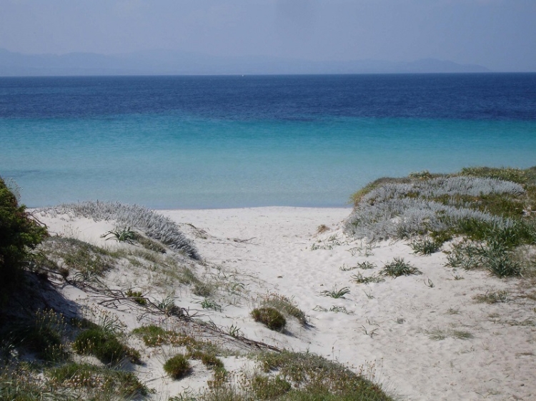 Tancamelis Italy 