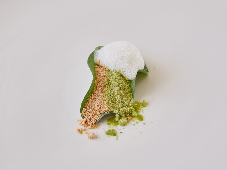 Hotel Echaurren Ezcaray gourmet michelin
