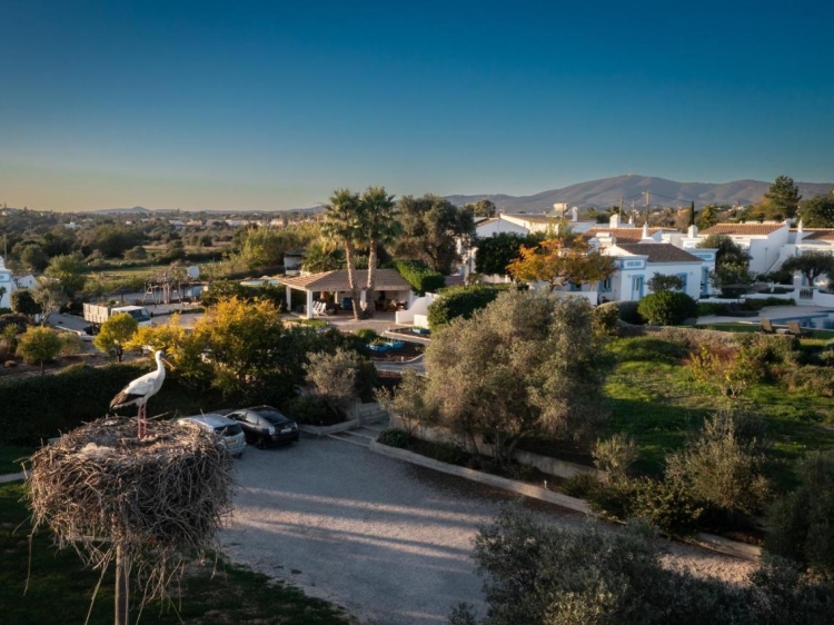 Casa Flor de Sal bezaubernde Villen zur Miete mit Swimmingpool in 