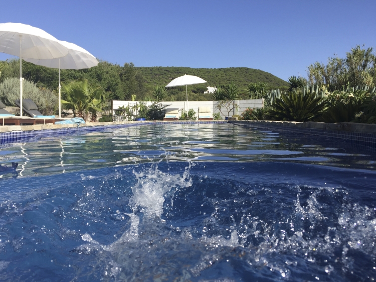 Der Pool ist 13 m lang, umgeben von Pflanzen und großen wilden Olivenbäumen. Der Hügel gehört zum geschützen Pinienwald, und der Strand ist in 1500 m zu Fuß erreichbar.