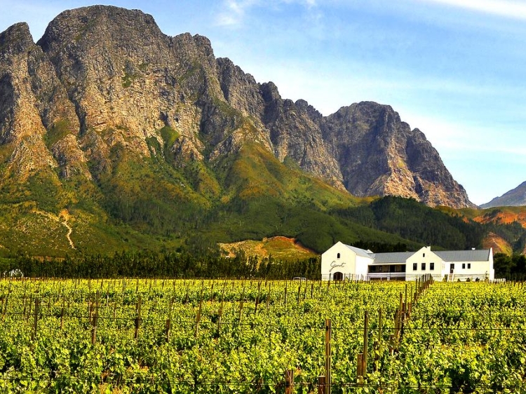 Holden Manz Country House Cape Winelands Südafrika Luxus Hotel Weingut