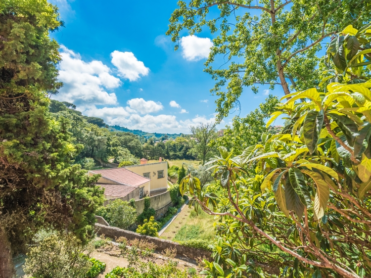 Quinta de Sao Tadeu sintra Hotel beste b&b 