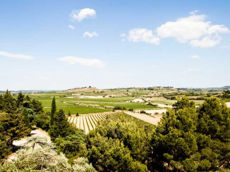 Chateau Les Carrasses quarante Schloss Aussicht Natur
