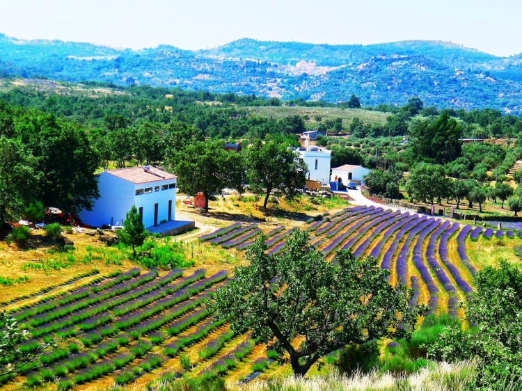 Quinta das LAvandas Castelo de Vide Hotel alto alentejo beste 