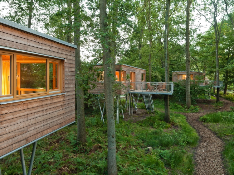 baumhaus hotel resort baumgefluester