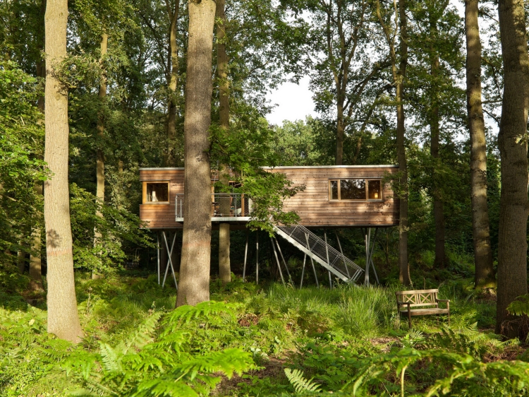hotel baumgefluester deutschland