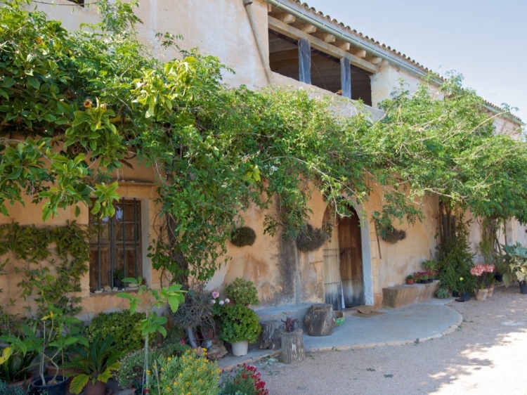 Son Josep de Baix beste Wohnungen auf Mallorca