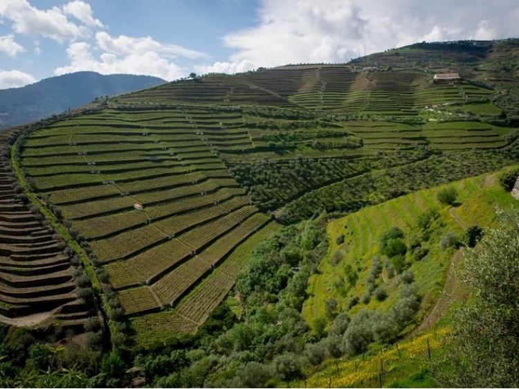 Quinta da Corte Bed & Breakfast Douro Tal Portugal 