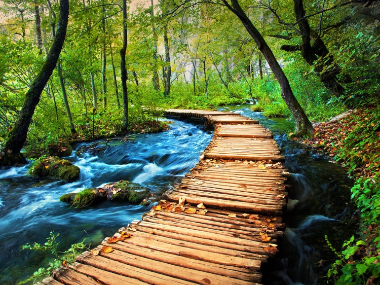 Fenomen plitvice