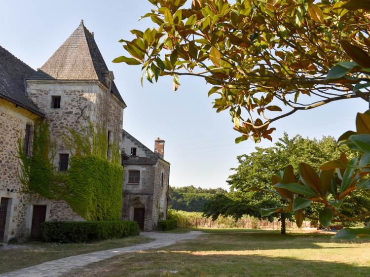 Manoir de Jouralem Blaison-Gohier auf dem Land