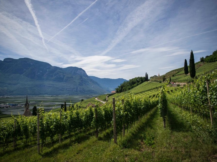 Wohnen im / Verweilen im Das Wanda Kaltern Italien boutique hotel besonders luxuriös aussergewöhnlich trendig schick cool klein
