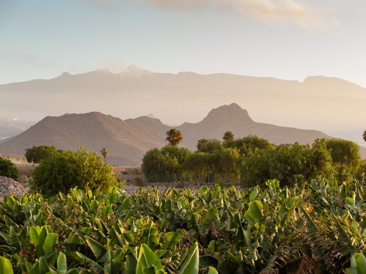 Wohnen im / Verweilen in der Villa El Mato Kanarische Inseln Teneriffa Spanien boutique hotel  besonders luxuriös aussergewöhnlich trendig schick cool klein