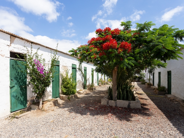 Wohnen im / Verweilen in der Villa El Mato Kanarische Inseln Teneriffa Spanien boutique hotel  besonders luxuriös aussergewöhnlich trendig schick cool klein