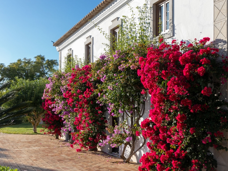 Wohnen im / Verweilen im Ferienhaus Quinta do Guine Algarve Portugal boutique hotel  besonders luxuriös aussergewöhnlich trendig schick cool klein