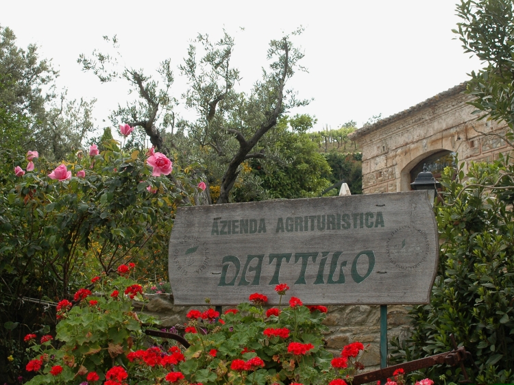 azienda agricola ceraudo