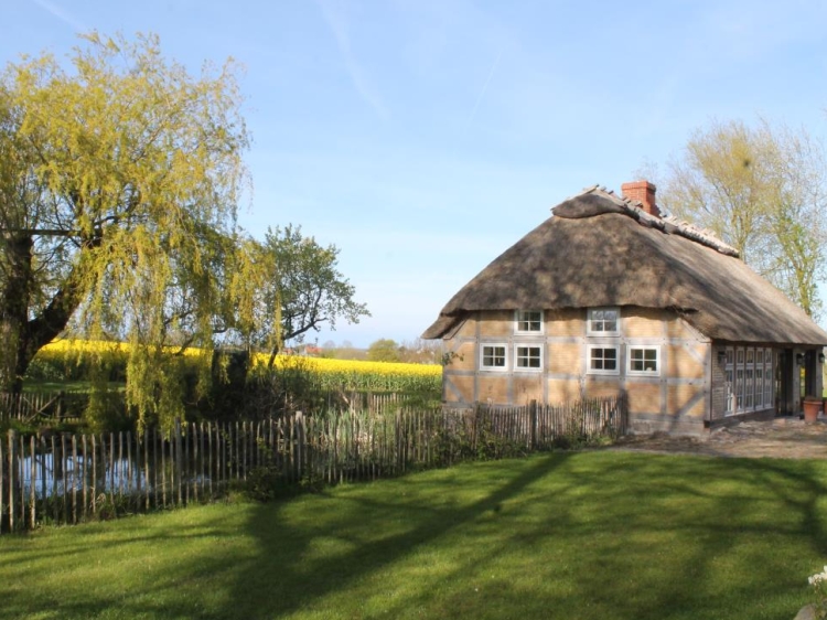 Ferienhaus Ostseehof Langfeld Schleswig-Holstein Deutschland kleine Boutique Hotels 