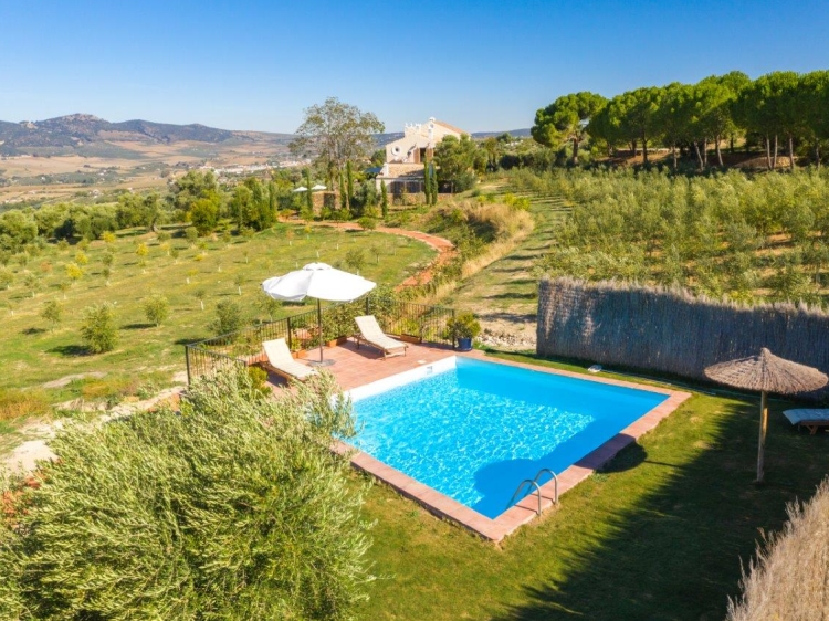 Pool surrounded by olive groves with stunning views of the Grazalema mountains