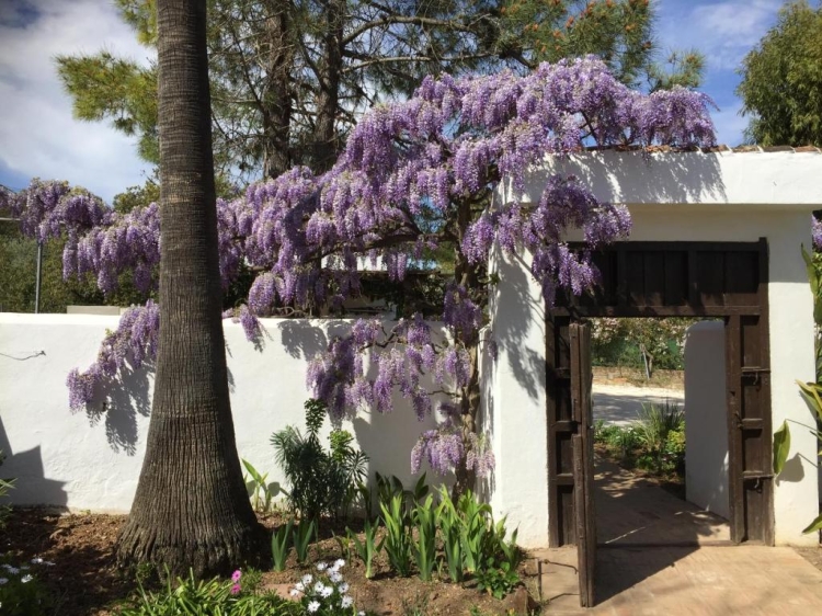 Roca Verde bed and breakfast in Malaga schön und günstig