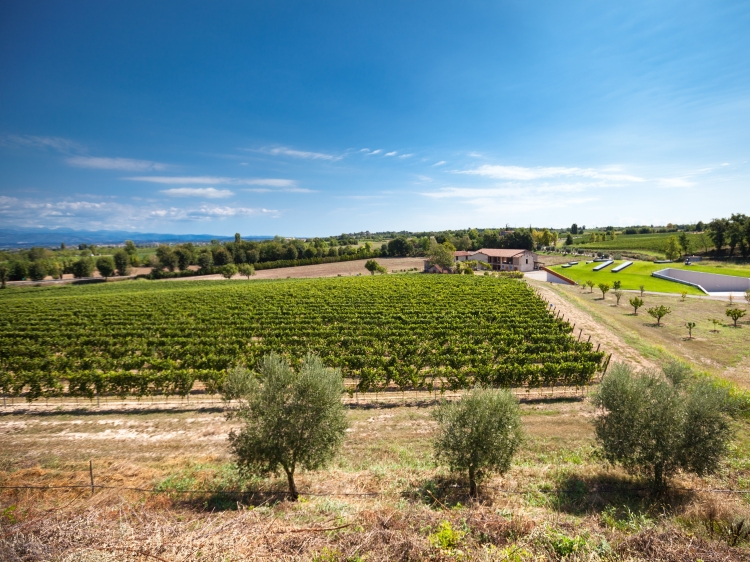 Charmante Unterkunft Landschaft Gardasee Italien