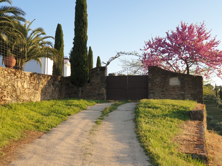 lagar el altozano schönes Landhaus Spanien