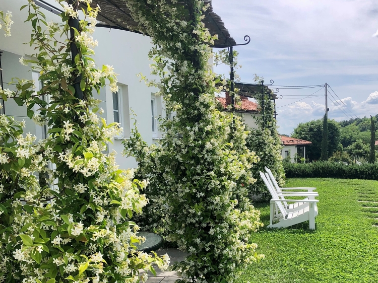  Garten des Hotels,  Peterc Vineyard Estate, SecretPlaces