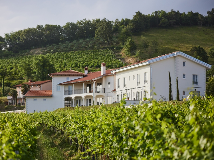 Panoramic views,  Peterc Vineyard Estate, SecretPlaces, Kojsko, Brda