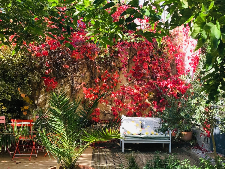 Domaine de Capiès apartmets en alquiler GÎTES en alquiler en Pomy Occitania