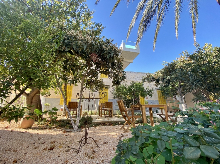 Garden