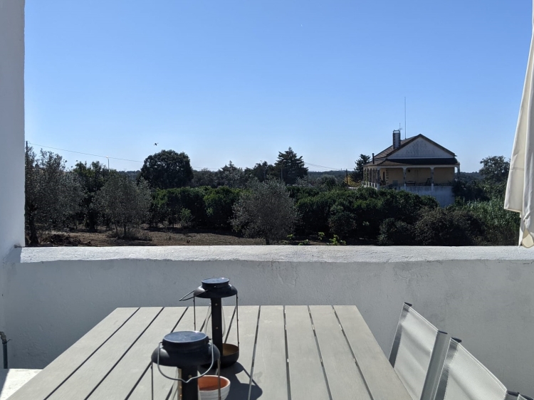 Terrace Table for 8
