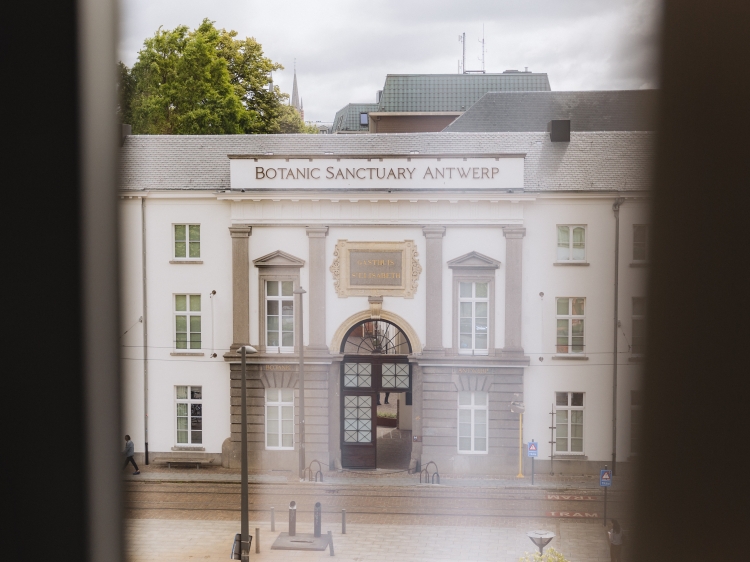 Städtetrip, Wochenende in Antwerpen, schöne Unterkunft im Stadtzentrum, secretplaces 