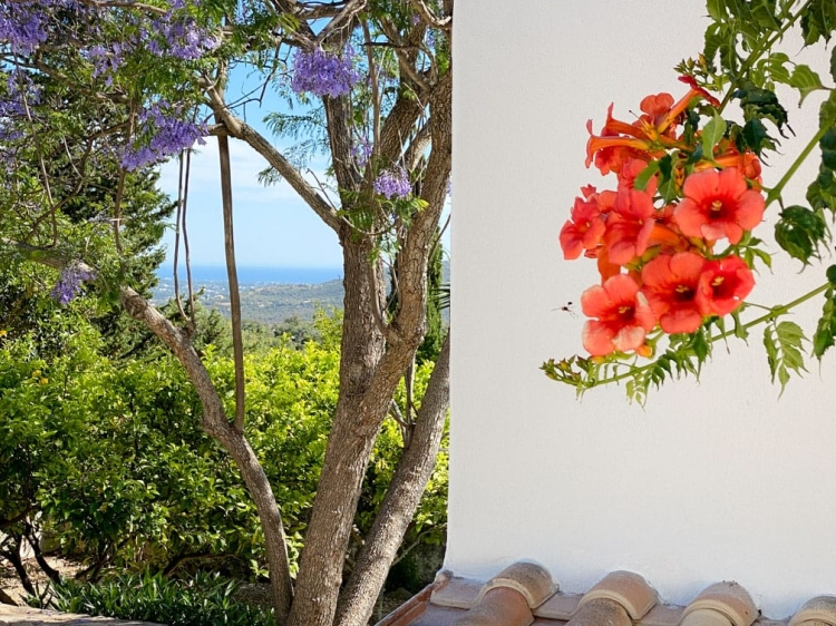House villa to rent in Loule casa Joana