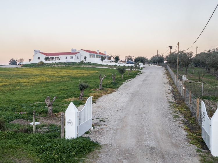 Road to the farm