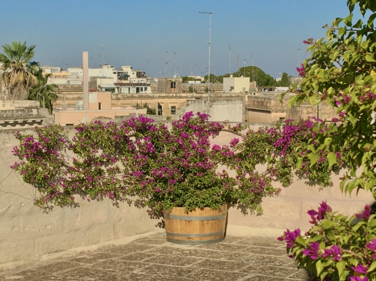 Dachterrasse - Palazzo Charlie - Lecce Puglia (IT) - Secretplaces