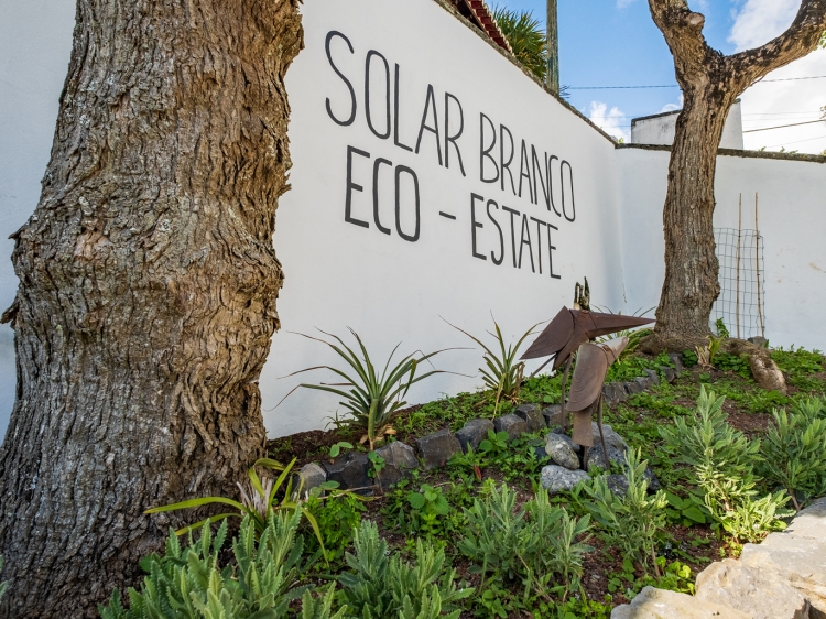 Solar Branco Eco Estate