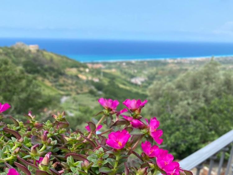 La Pastorella