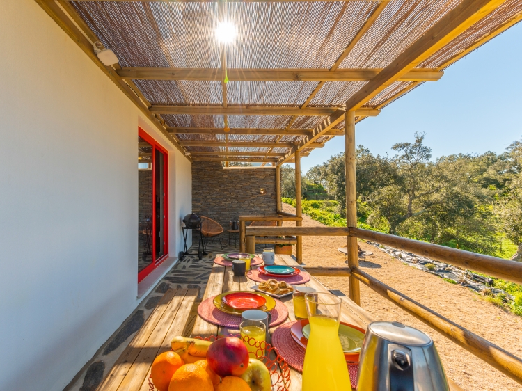 Kitchen's terrace