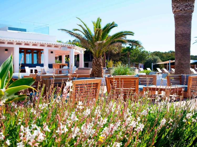 Gecko Hotel & Beach Club, ein kleines Luxushotel auf Formentera Ibiza