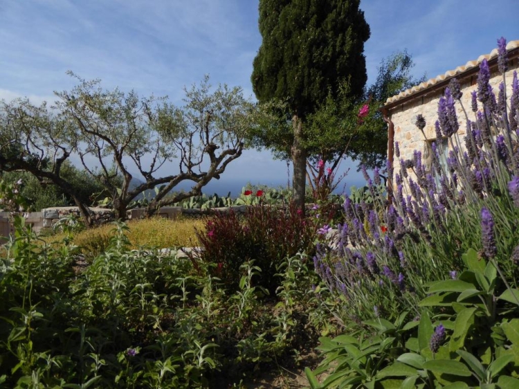 Garten Antares Mani Omales Secretplaces   
