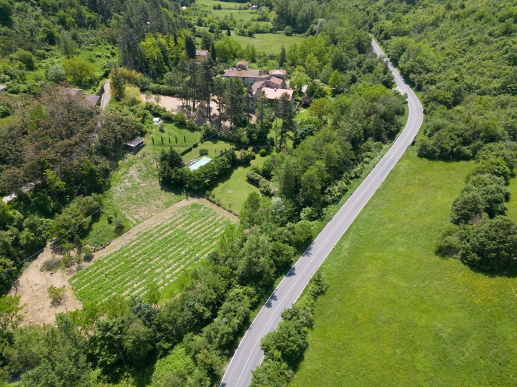 Casa Palmira B&B in der Toskana: preiswerte Unterkunft, in der Hunde erlaubt sind.