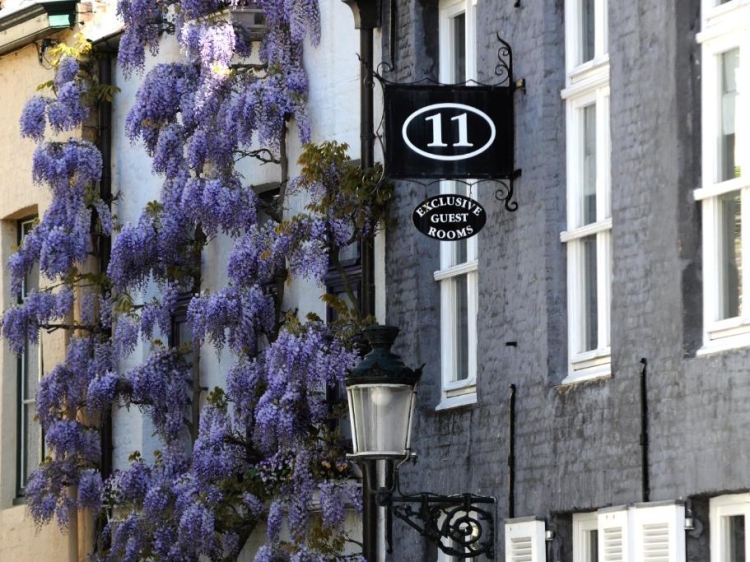 Number 11 Exclusive Guesthouse