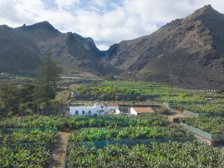 Hacienda Camino de la Cruzada Ferienhäuser Teneriffa