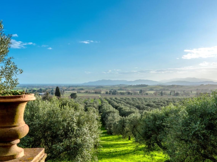 Pieve di Caminino Hotel, schick und schick Tuscany B&B im Boho-Stil
