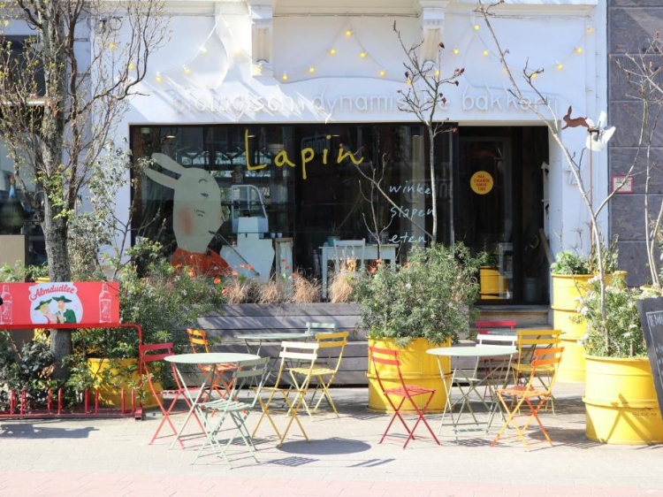 Bed and Breakfast Logies Lapin in Antwerpen