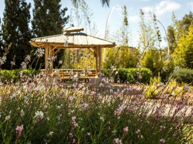Ibizazen Boutique Hotel