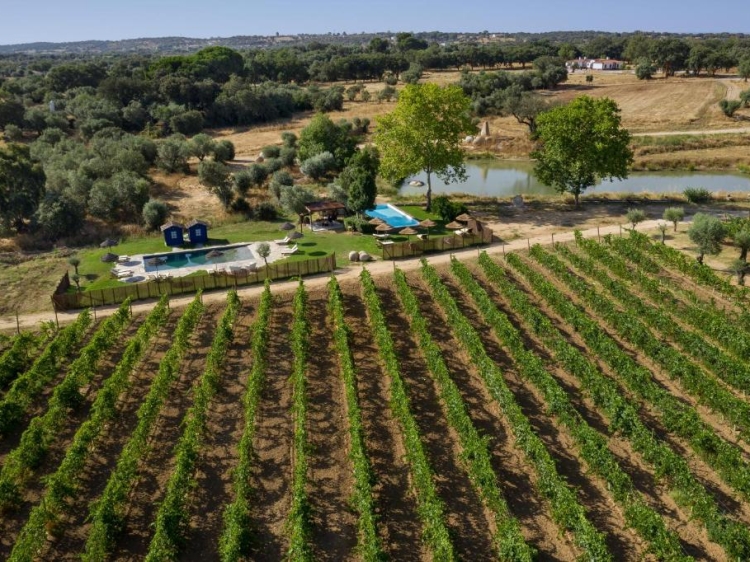 Casas da Quinta de Cima – Charmante Villen und B&B nahe Évora, mit Pool und Reitausflügen im Herzen des Alentejo.