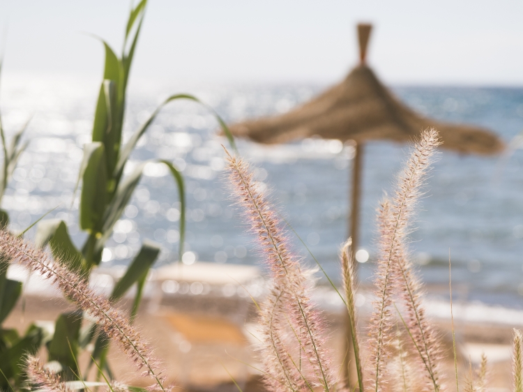 Private beach Calitro Mare Puglia 'Secret Places'
