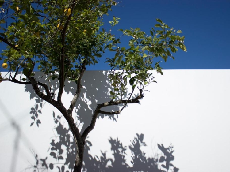 Casa dos Aromas