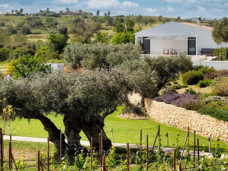 Authentisches Refugium an der Algarve auf einem privaten Anwesen, komplett zu vermietendes Haus mit Gemeinschaftspool und zwei Schlafzimmern in Ferragudo an der Algarve