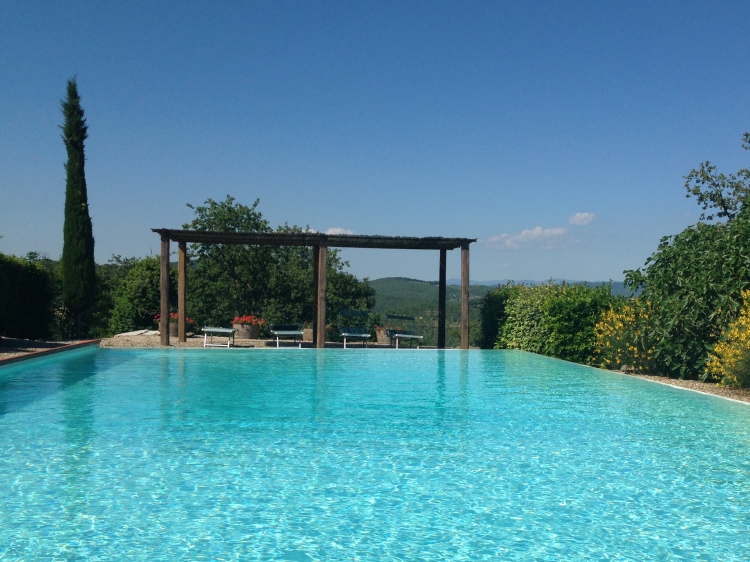 unser Pool 7x14m mit Aussicht