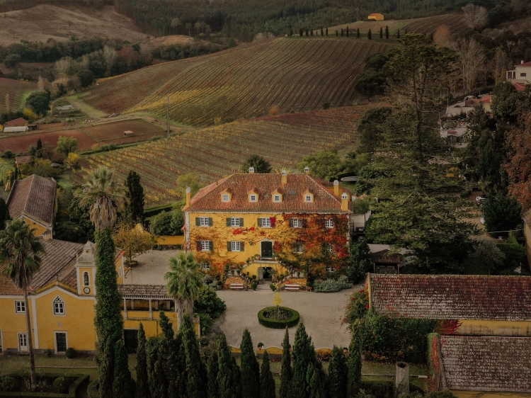 quinta de sant'Ana bestes enoturism in Portugal charmantes Hotel in der Nähe von ericeira